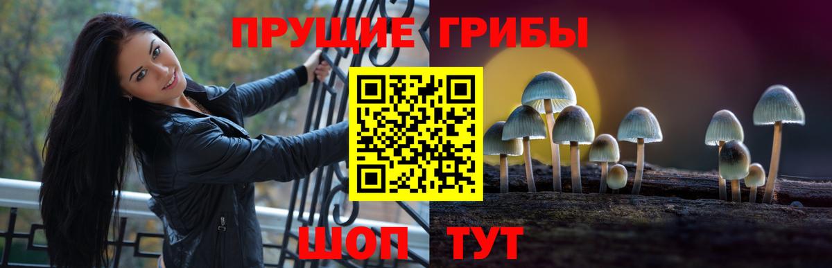 Псилоцибиновые грибы Psilocybe  как найти закладки  Кувандык  Вход с VPN 